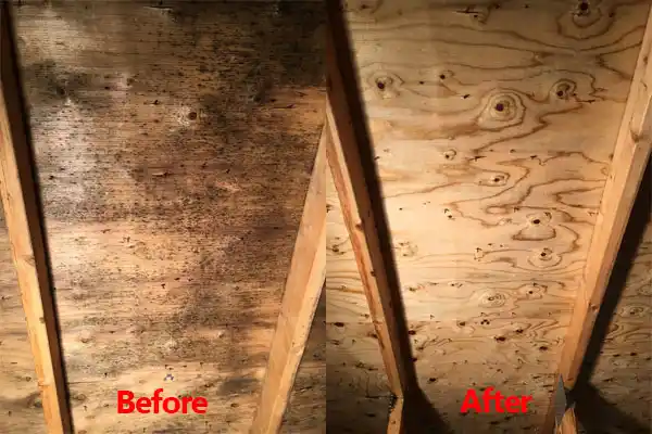 water damage restoration service Park Ridge